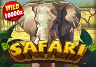 AFB : Safari - HEROBET168